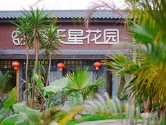 -满天星花园
