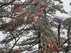 -自游人·美食一楼·地道徽菜(三十年名店)