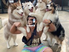 -TrueLove @ Neverland (Husky Cafe)