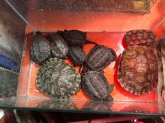 -大学城夜市大排档(凤栖路店)