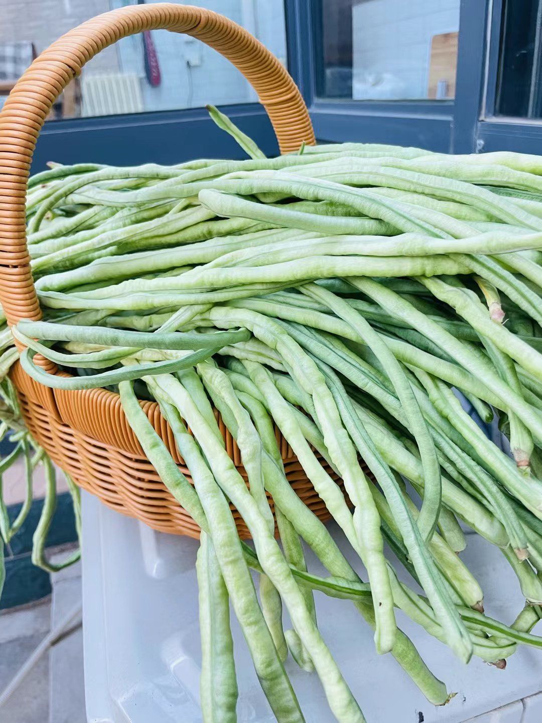 每日蔬食,从豌豆开始,菜园的豆角,夏天蔬菜丰
