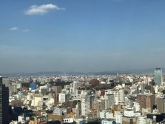 -矢场猪(名古屋站名铁店)