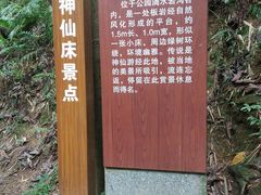 -滴水岩森林公园