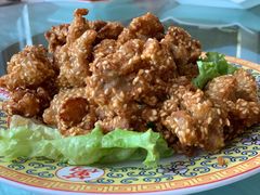 芝麻鸭肉-烤肉季饭庄