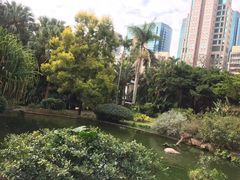 景点-九龙公园