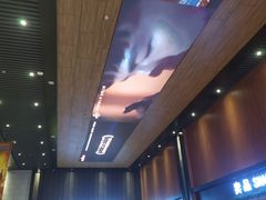 -齐纳激光IMAX影城(张店银座店)