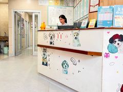 -谐和益家动物医院·免疫绝育·血液透析·宠保定点医院(高新伊藤分院)