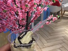 -麦当劳(塔园路店)