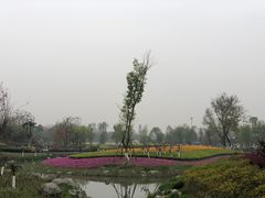 -天府芙蓉园