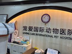 -宠爱国际动物医院·消化内科·心肾内科·ISFM猫友好(望京店)
