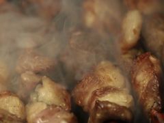 红柳木羊肉串-西域阿里马新疆菜·清真(桂花路店)