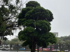 -厦门泰谷酒店(中山路镇海路地铁站店)