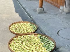 -阆辣荟餐饮(老味道8年·古城店)