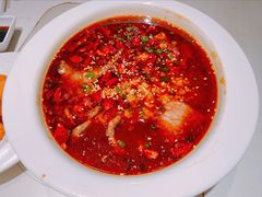 水煮鲜鱿牛肉-肥仔文澳门猪骨煲(南京西路店)