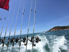 -小猫钓鱼海钓俱乐部(椰梦长廊店)