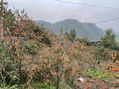 -丹山赤水风景名胜区