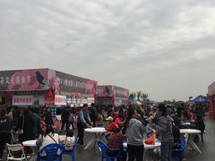 -万顷园艺世界