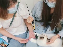 -lincat·猫舍(广州店)