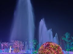 -东南花都花博园
