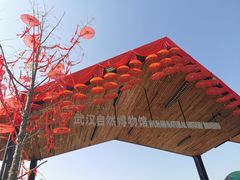 -武汉园博园(武汉自然博物馆)