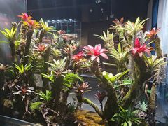 -扶摇湘宴·烤鸭·湘粤宴(中关村·北大店)