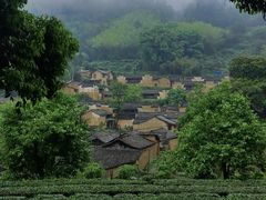 -杨家堂村