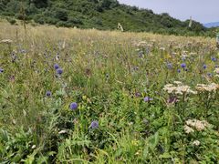 -白草畔自然风景区