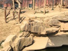 -无锡动物园·太湖欢乐园