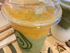 -油梨树 AVOCADO TREE(亮马桥店)