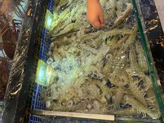 -欢乐海岸美食联盟