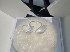 -BLACKSWAN黑天鹅(环球店)