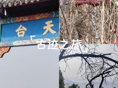 -抱犊崮国家森林公园