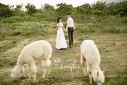 -花漾摄影优选工作室(东莞原创作品店)