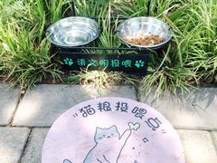 -静安公园(静安寺街道)