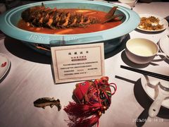 -阿五黄河大鲤鱼(英协路店)