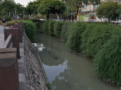 -神仙树公园