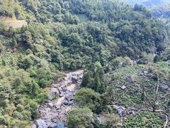 -石台牯牛降景区