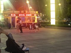 -汇德隆银隆