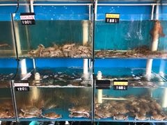 -台州卡金海鲜楼(上南路店)