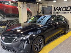 -利美特•威固V-KOOL双膜(杨浦授权店)