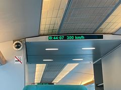 -龙阳路磁悬浮列车总站-停车场