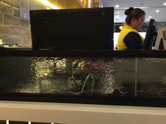 -翠華餐廳(浦东机场T1店)