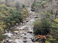 -青峰峡国家森林公园