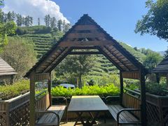 -心无尘茶餐馆(径山村店)