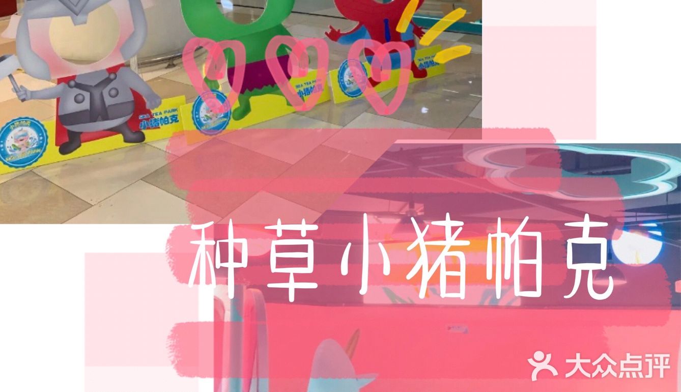 开启夏日狂欢，快来小猪帕克玩水吧！