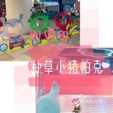 开启夏日狂欢，快来小猪帕克玩水吧！