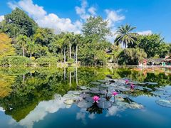 -中国科学院西双版纳热带植物园