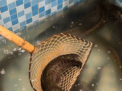 -九寨沟石锅鱼(沣峪口店)