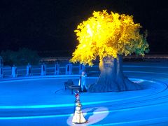 -鼎盛王朝康熙大典实景演出