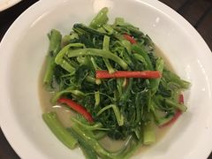 -新旺茶餐厅(嘉里城店)